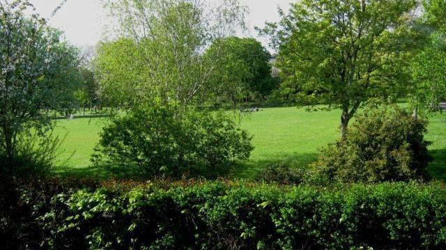 Woodbine City Rooms Exeter Dış mekan fotoğraf
